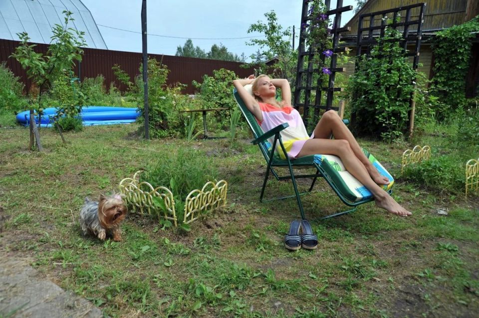 Как вернуть собственность: дача и ее незаконный жилец