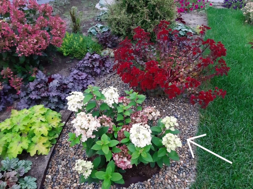 ���������� ��������� �������: ��� ���������� ���� ����������� ������ ����������