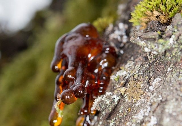 ������� �����: ������� � ����������� ������<br>