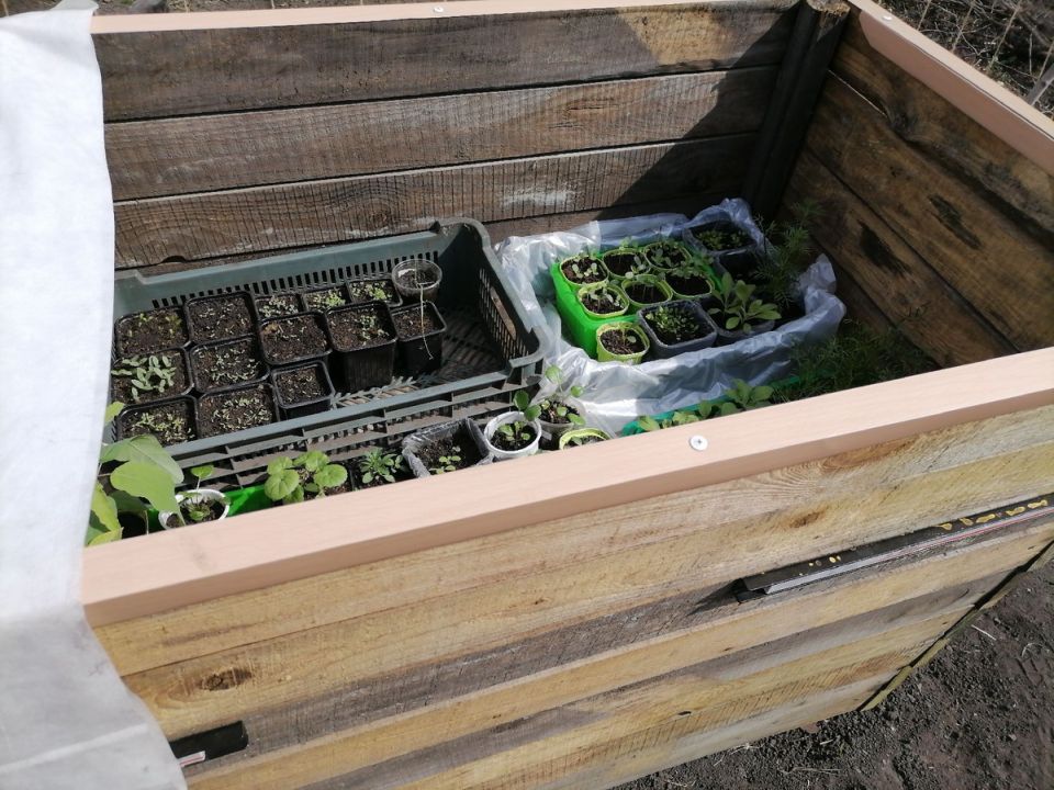 ������� ������ ������: ��� ������� ��� ���������� ������?