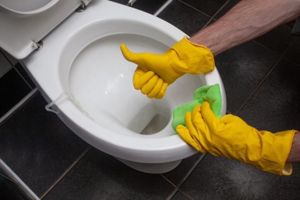 ������������� �������� ��� �������: ��� ��������� ������������ ������� ������������ � �������