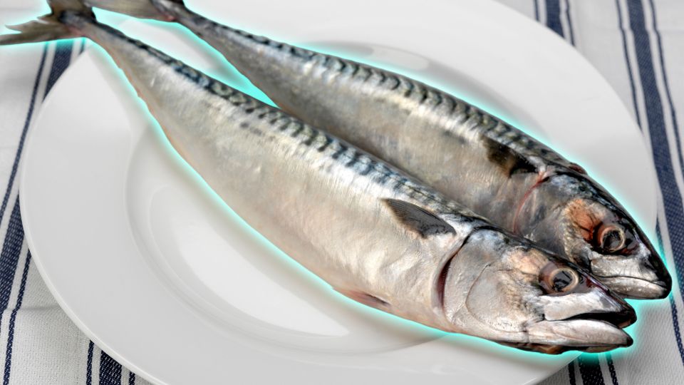 ����������� �������� ��15������: ������ ����� ��������� ���� �������