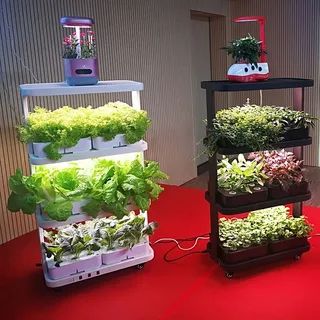 ����������� ���������� � �����������: ��� NFC � ����������� ������ ������ � ����������� ������