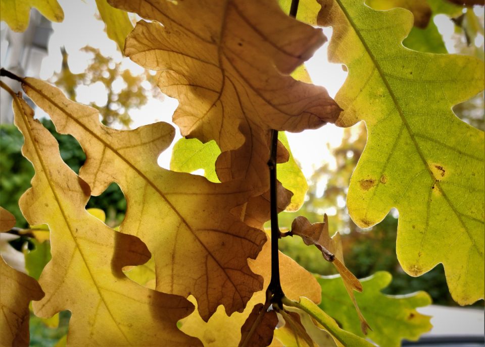 �������� �����: ��� ������� � ����