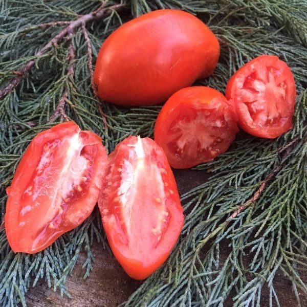 �������� �����