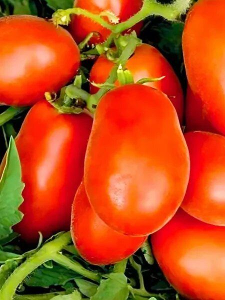 ���������: �������� ����� ��� ����������� ����������