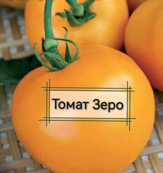 Томат Зеро: идеальный выбор для стабильного урожая в любых условиях