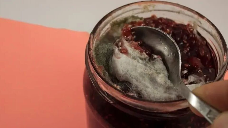 ������� �� �������: ��� �������� � ��� ������, ���� ��� ���������