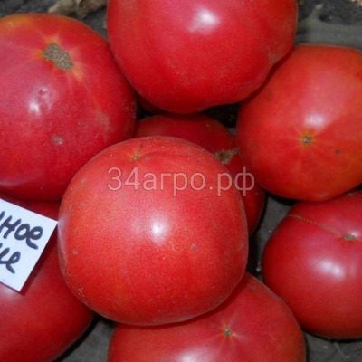 ����� ������� ������: ������������ ����� ��� ����������� ������ � ����� �����