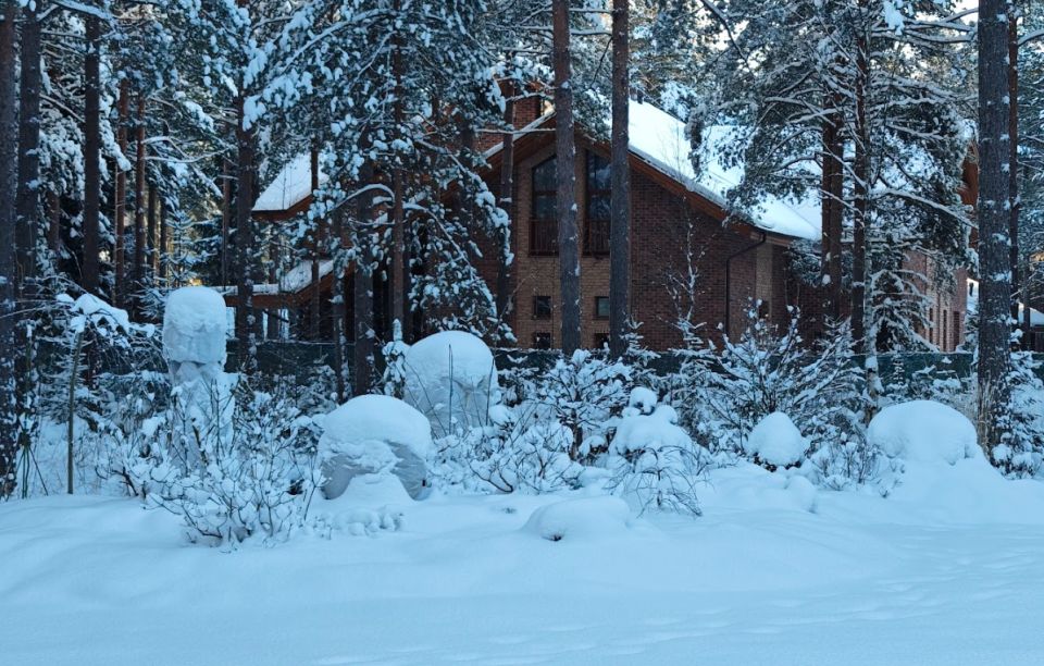 ����� ������ ���: ��� ������ ������������ �������� � �������� �������� ����