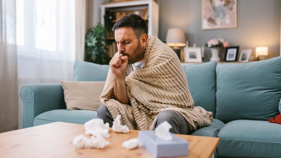 ���������� ��� ������������: ��� �������� �������� ������� � 2026 ����