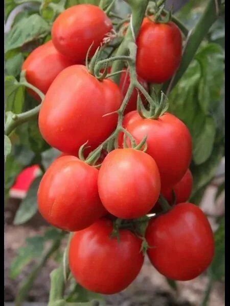 ���� ����: ������������� ����� � ������� ������� ��� ��������� ������