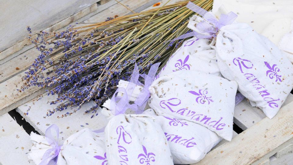 �� ��������� ��������� � ���������: ���������� ������ ����� �������� ����