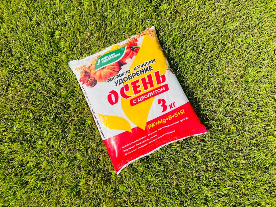 ������� ������������ �������� ���������: ��� ����� ����� � �������