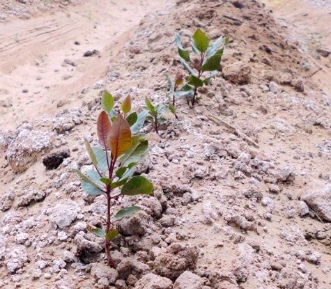 ��� ��������� ��������������� �������, ����� ���������� ������ ���������