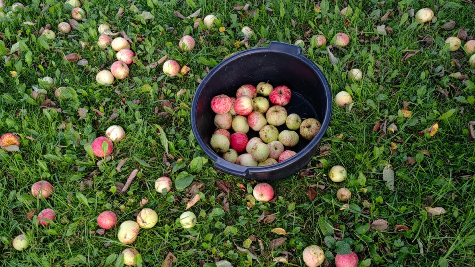 ��� �������� �������� ������� ���������� ��������� ����, ��� �����-����