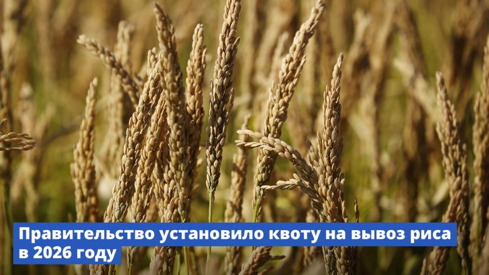 ����� �� ������� ���� � 2026 ����: ��� ����� �����