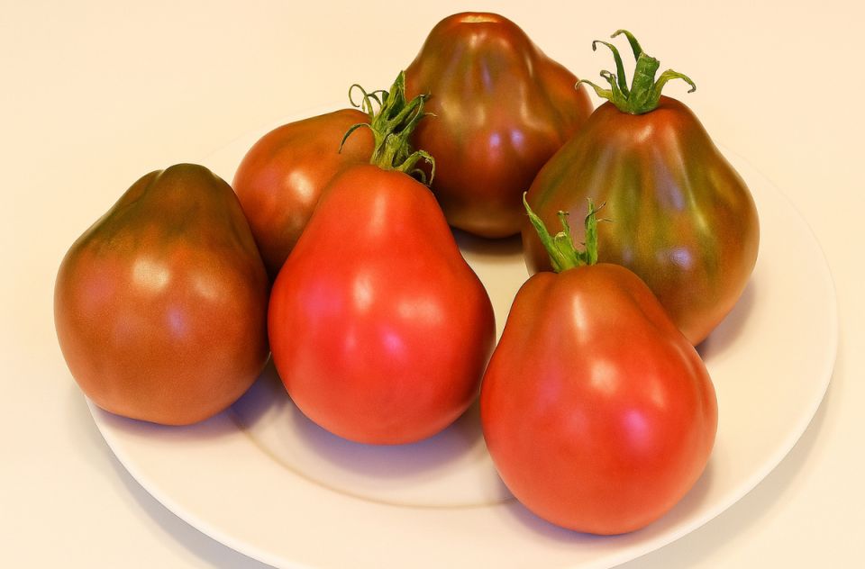 ������� �������� ������: 5 ������� ������ �������