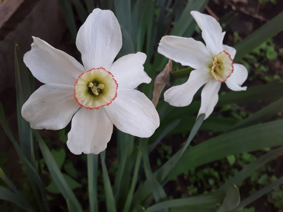 ������� ���������� ����: ��� ��������� ����������� ����� ��� ����� ���������