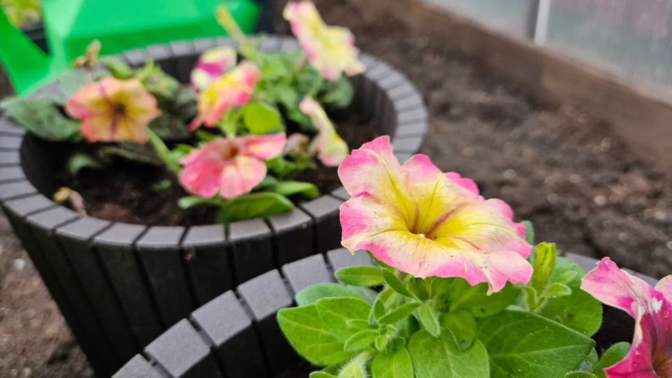 ������� �������� ������� �������: ��� �������� ���������������� ������ � ����������