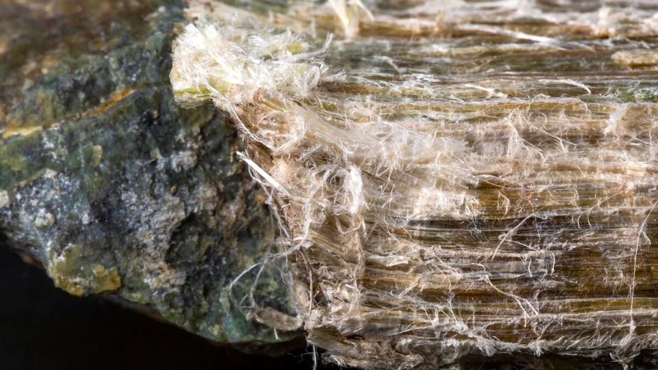 ������ ������ ���������� ������ �������, �������� �� ��� ������ �� ��������