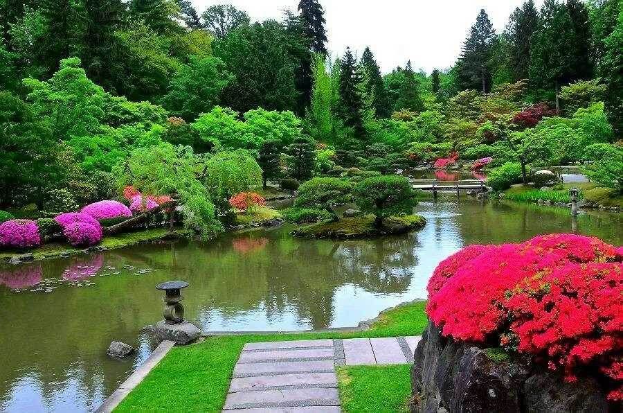 �������� ����������: 5 ���������� �������� ��� �����������