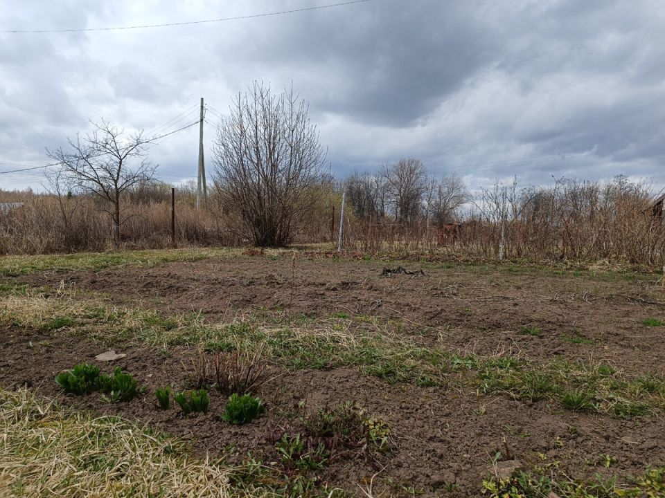 ��� �������� ������� ����� �� �������: ������� ������ ��� ���������