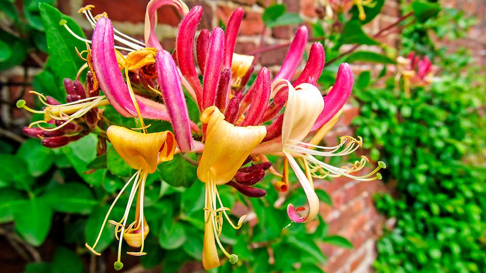 ��������� ���������: ������� ��������� ����� � �����