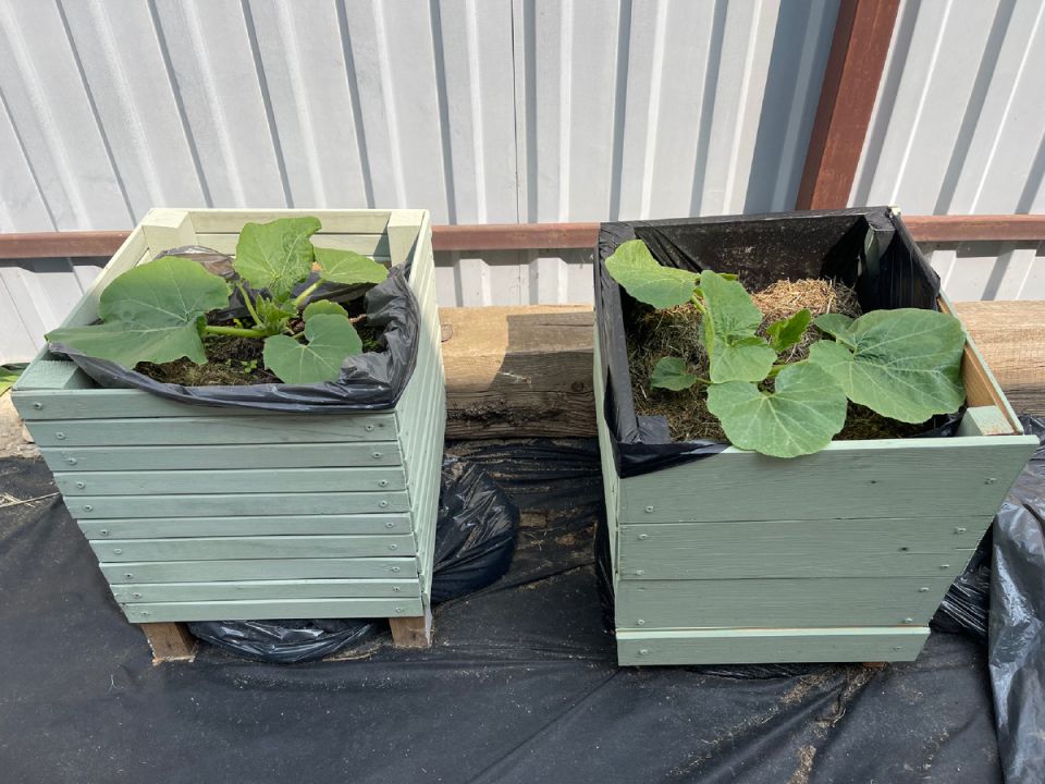 ���������� ���: ������� ������ ������ � �������� ������