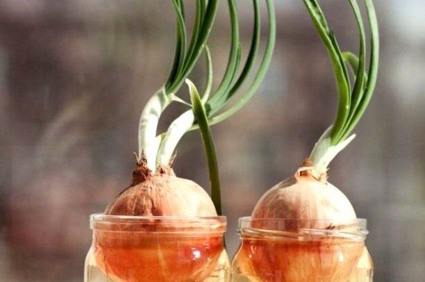 ��� �������� ���������������� ������ ��� ����������� ���� �� ������� ������ �����