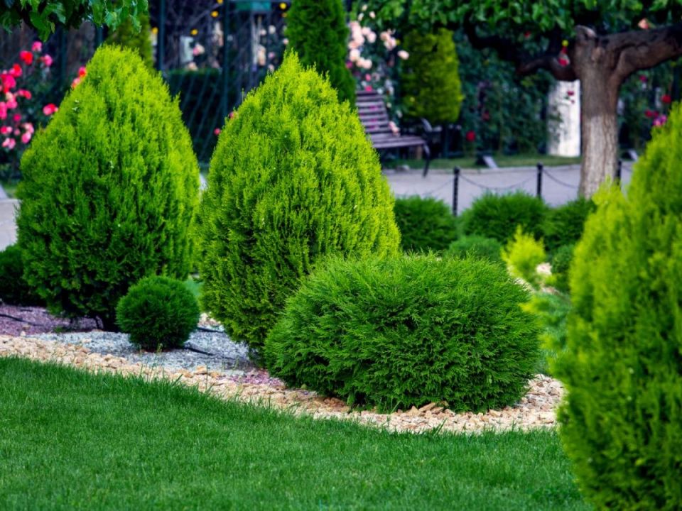 ��� � ����: ������� ��� ������ ��� ������ �������?