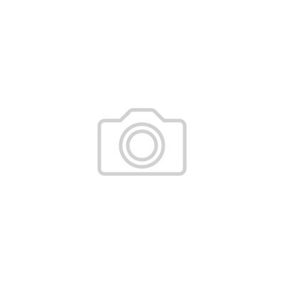 Как правильно посадить ежевику: секреты и советы для успешного урожая