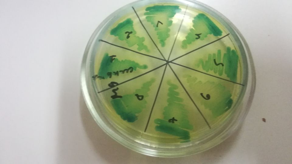 ��� ������� ����� ����������� ��� ��� � �������� �����������