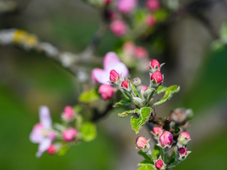 ��� ������ ���������� ������ ��� �������� ������