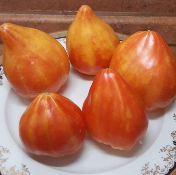 Томат Канада: идеальный сорт для вашего огорода