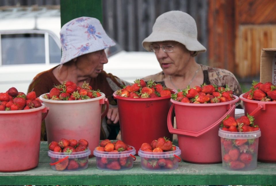 Небезопасные ягоды с уличных рынков: кто стоит за вашей тарелкой