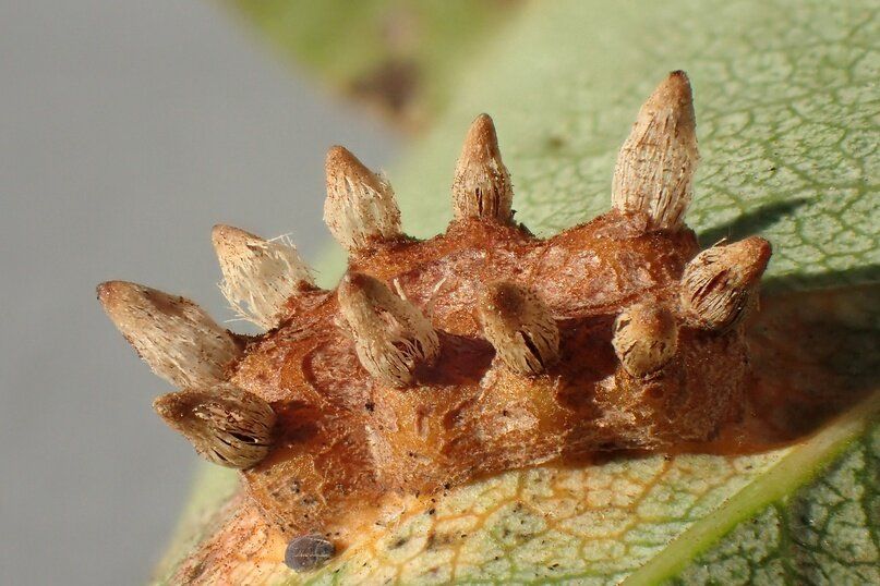 ����������� ������ ������ � ��������� �� �����: ��������� �����������