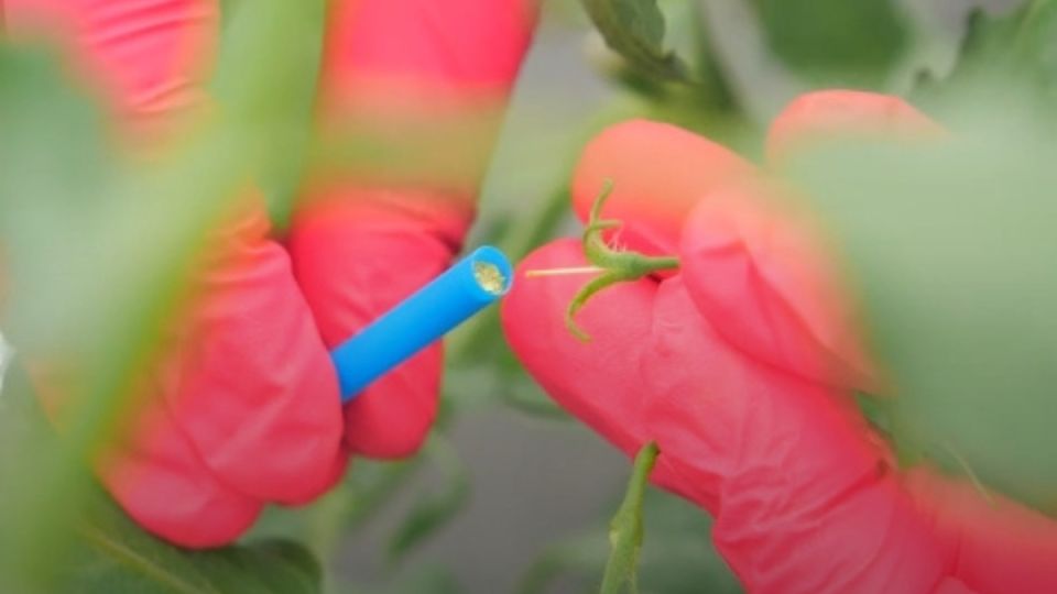 ������ ��������� ������ ������� ����� ������: ������� ��������