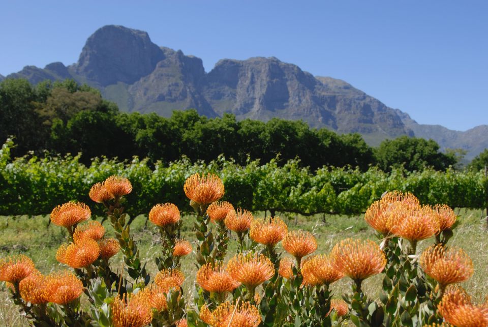 ������� �������������� �������: ��������� ���� ����� ������